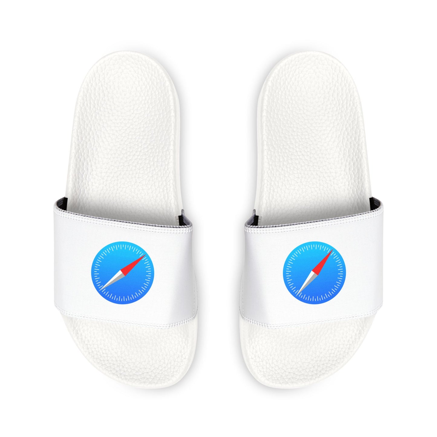Safari Slides