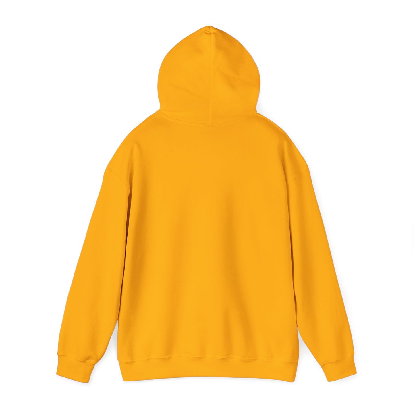 BMW Adult Hoodie