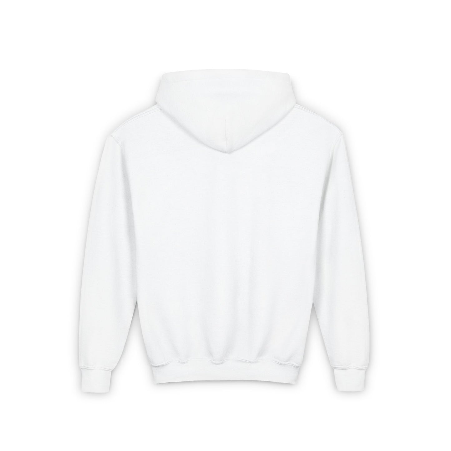 BMW Youth Hoodie