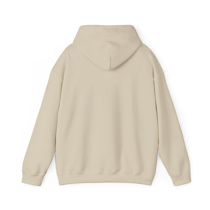 TikTok Logo Adult Hoodie