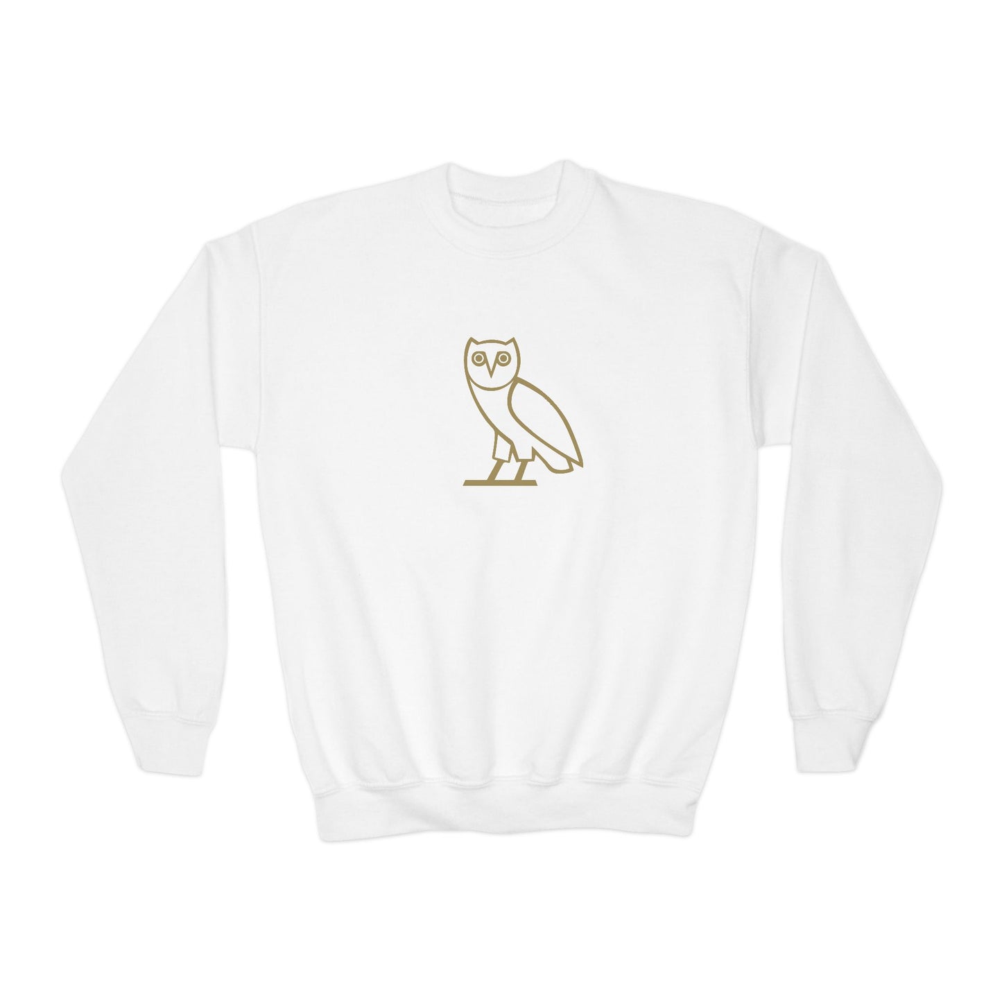 Drake OVO Owl Youth Sweatshirt