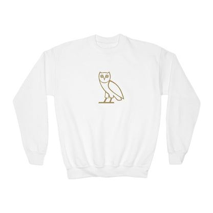 Drake OVO Owl Youth Sweatshirt