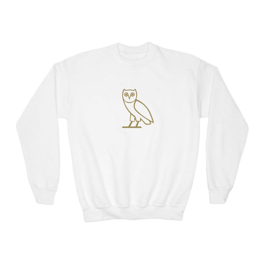 Drake OVO Owl Youth Sweatshirt