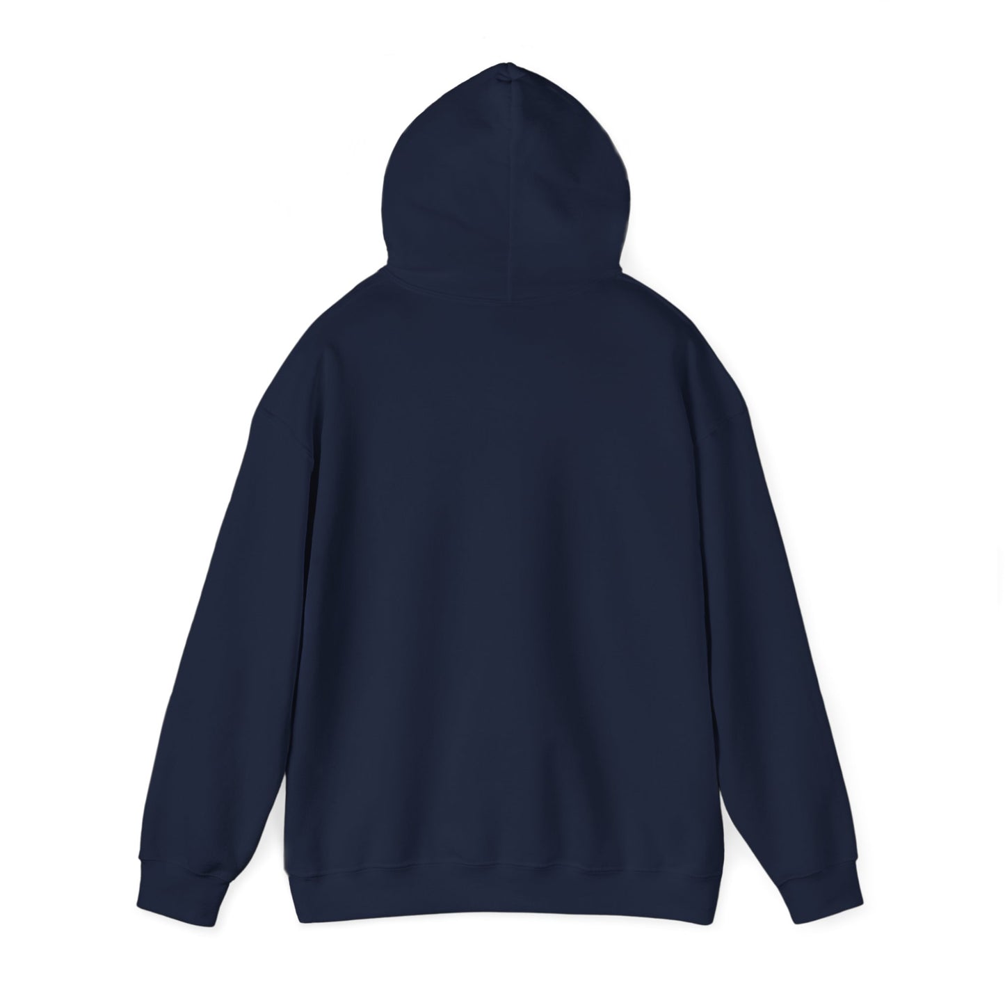 BMW Adult Hoodie