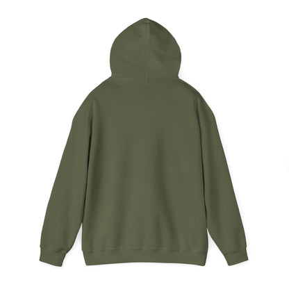 TikTok Logo Adult Hoodie