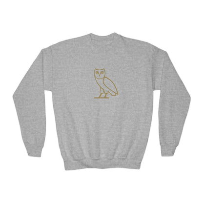 Drake OVO Owl Youth Sweatshirt