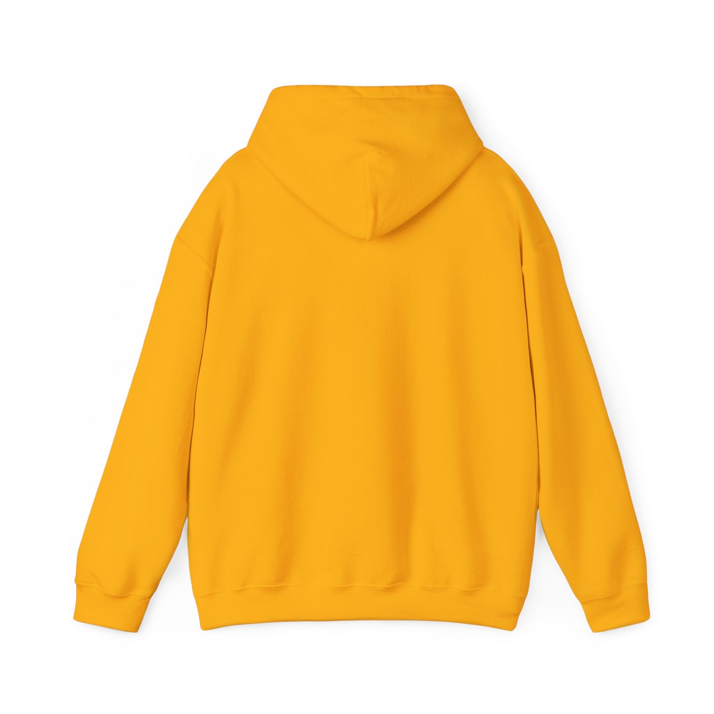 BMW Adult Hoodie