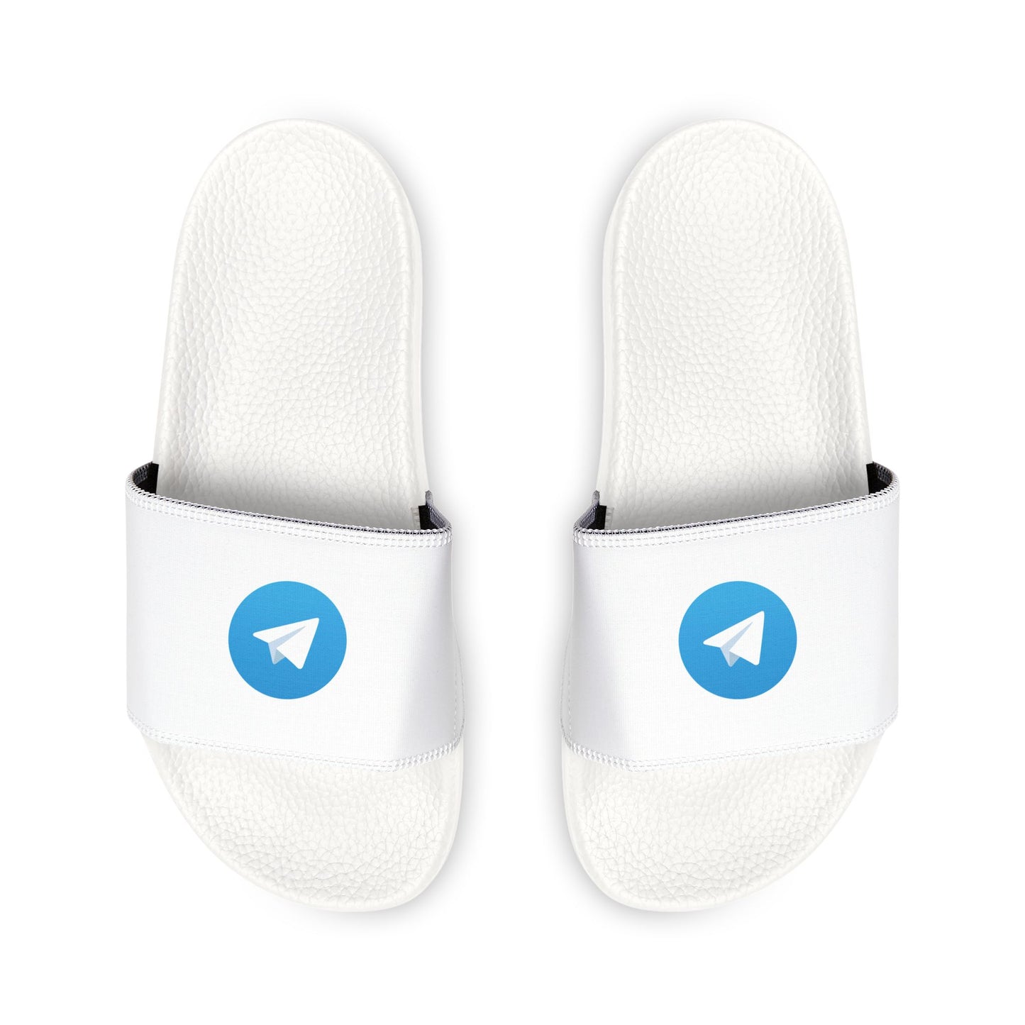 Telegram Logo Slides