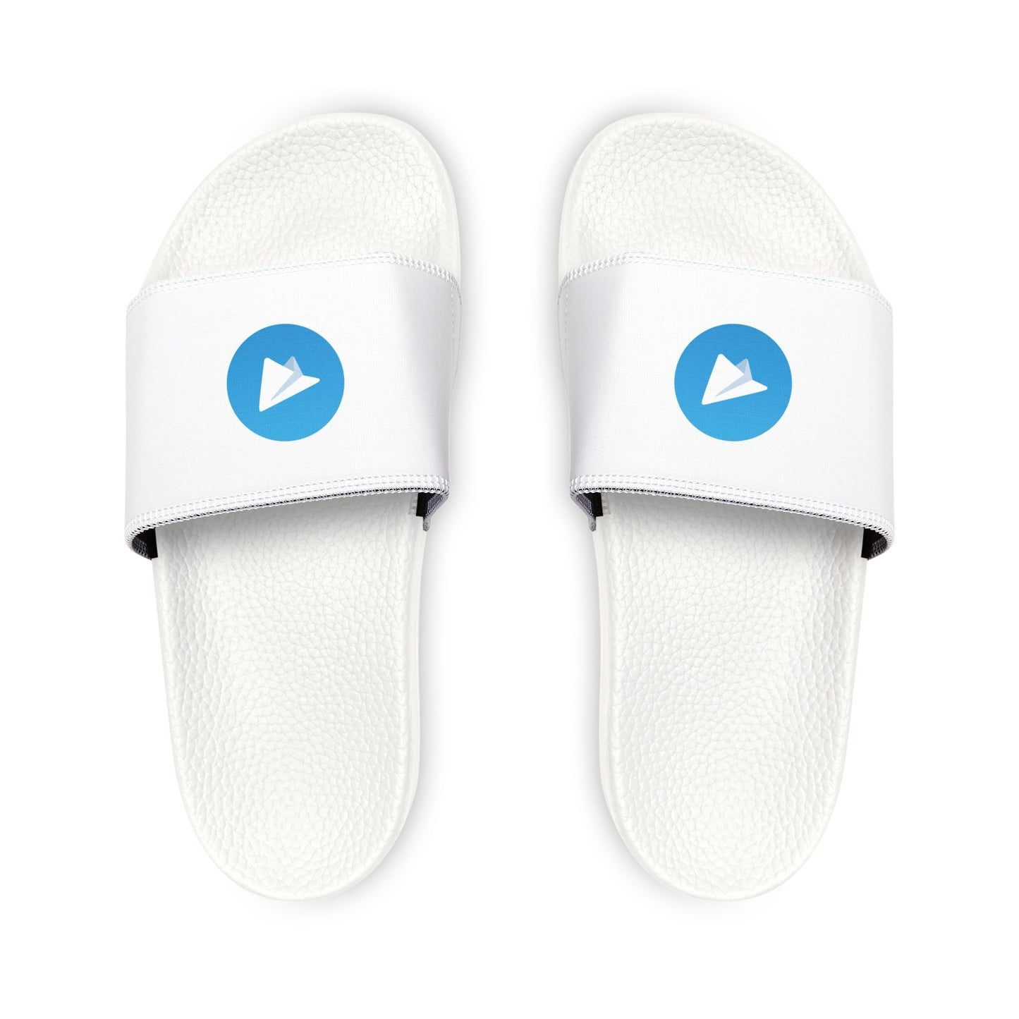 Telegram Logo Slides