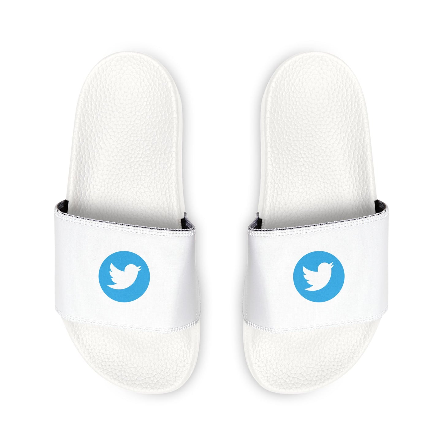 Twitter Logo Slides