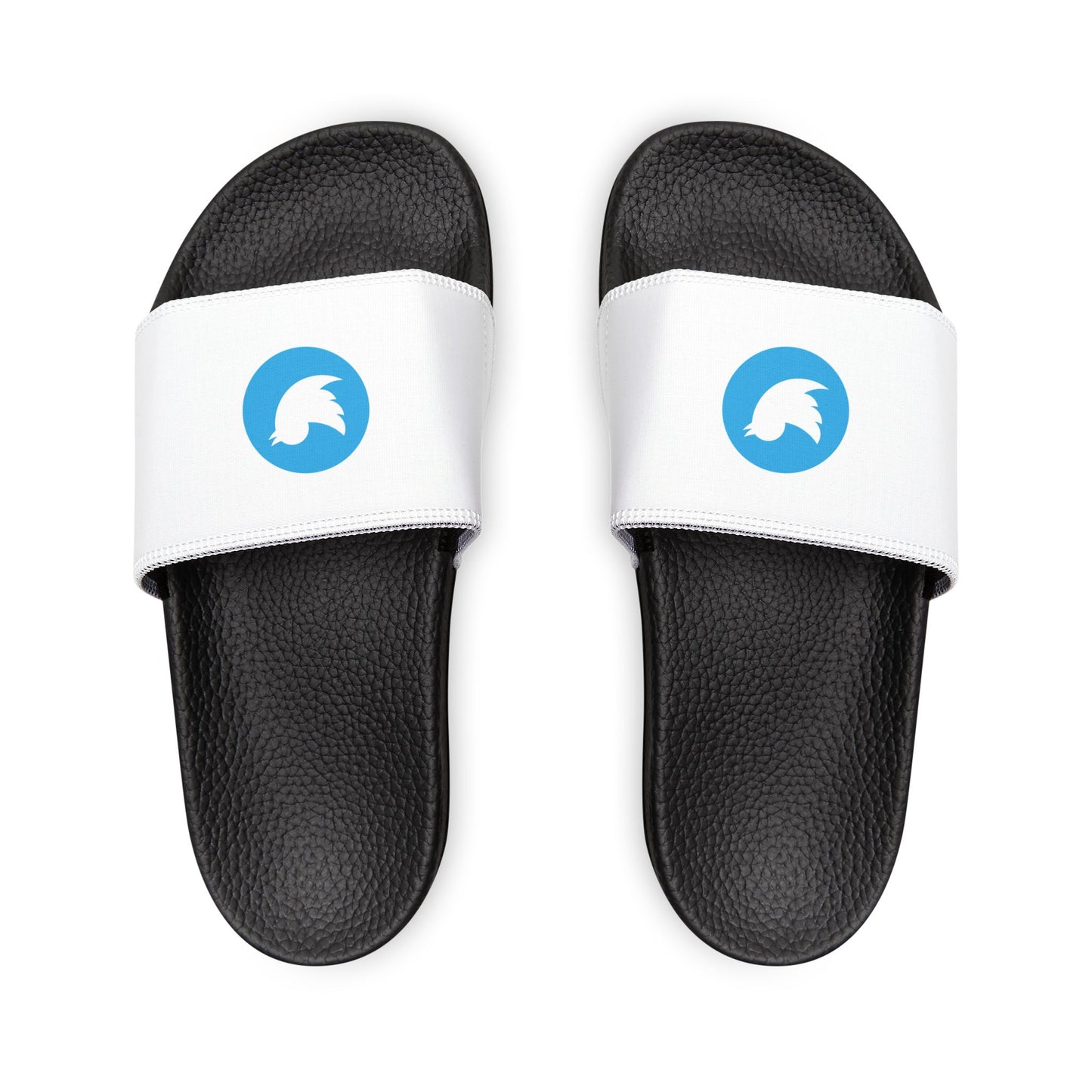 Twitter Logo Slides
