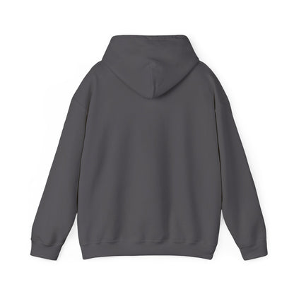YouTube Logo Adult Hoodie
