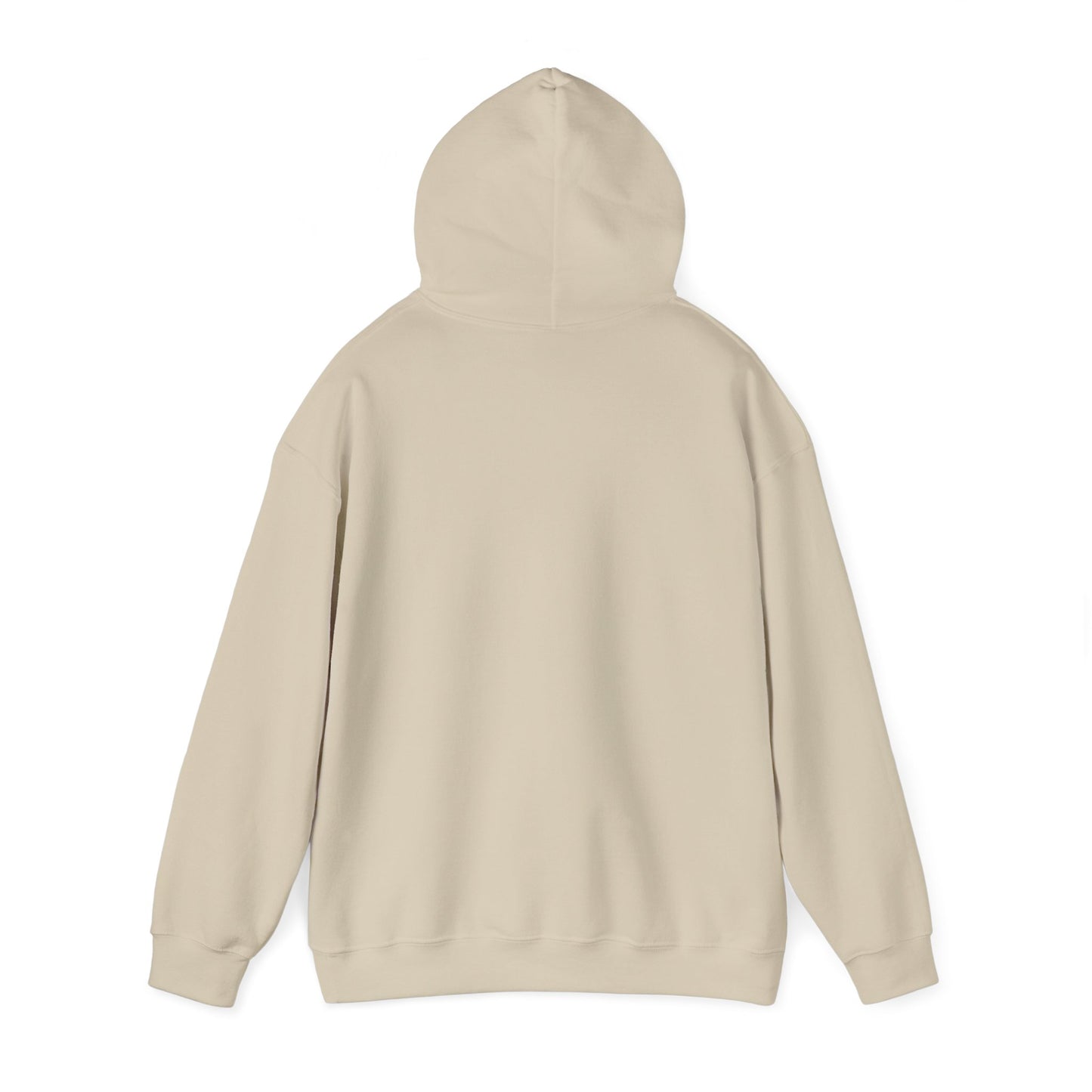 TikTok Logo Adult Hoodie