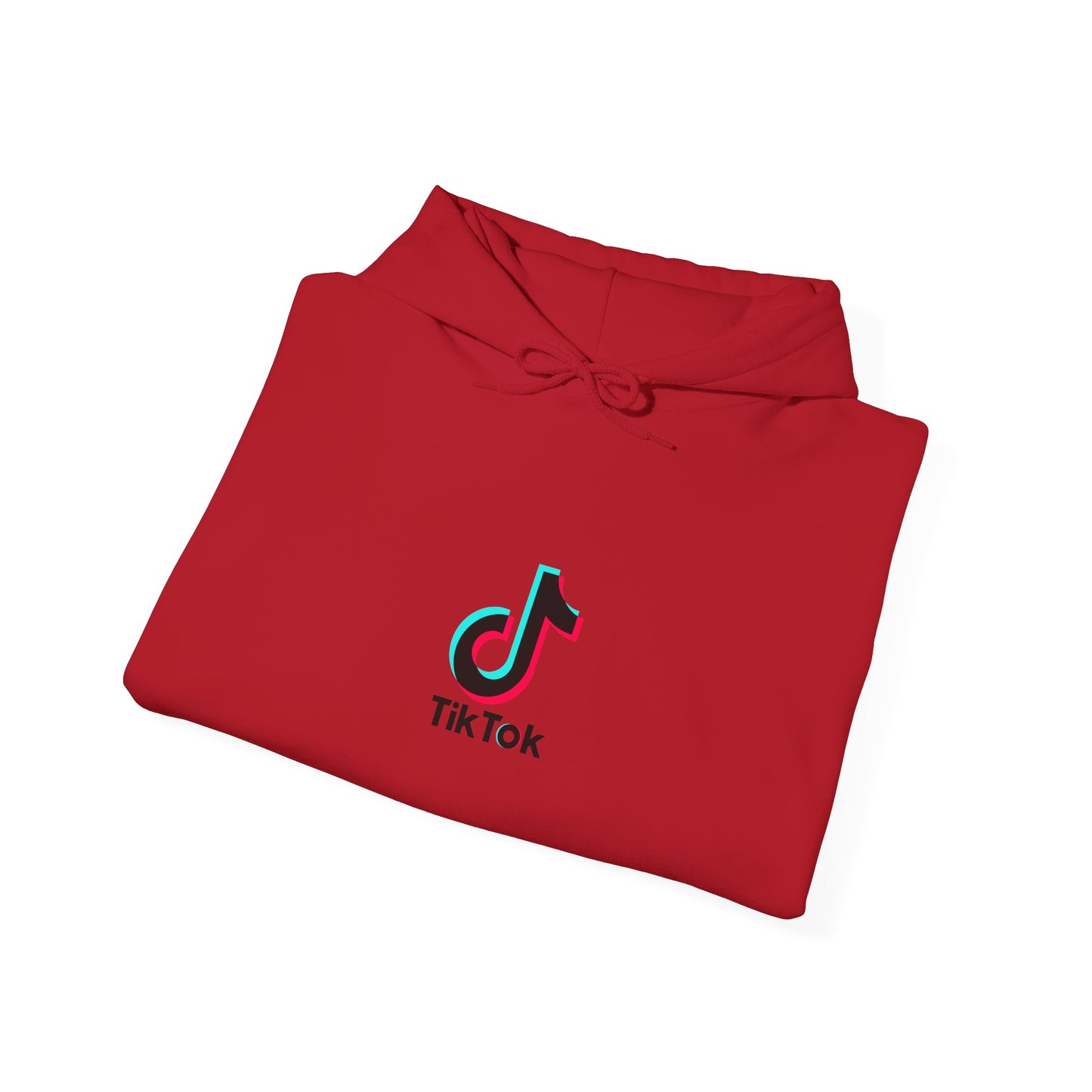 TikTok Logo Adult Hoodie