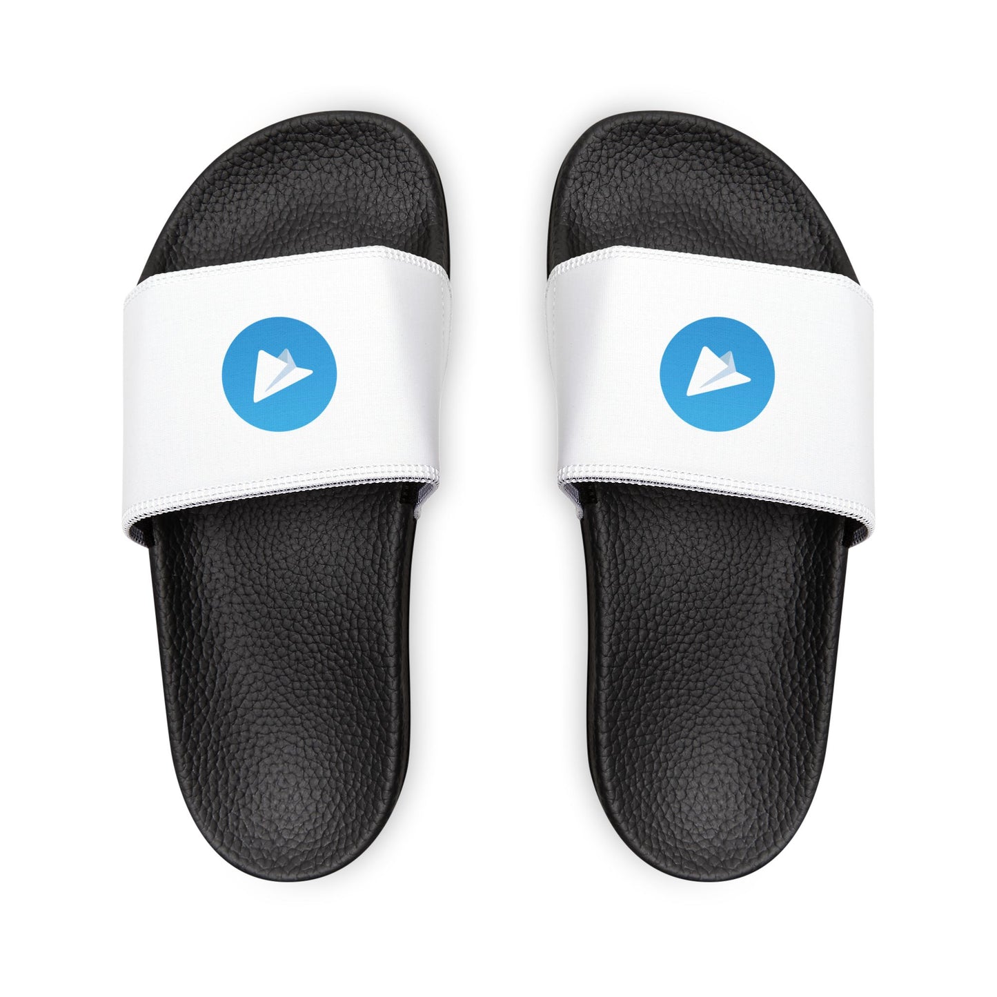 Telegram Logo Slides