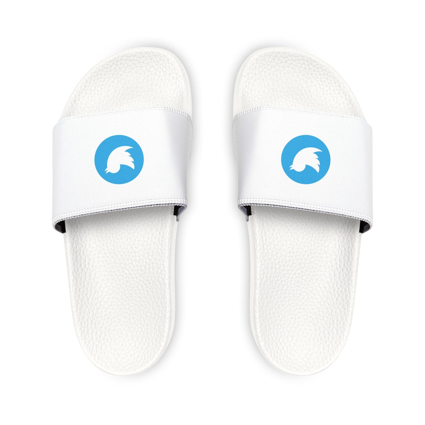 Twitter Logo Slides