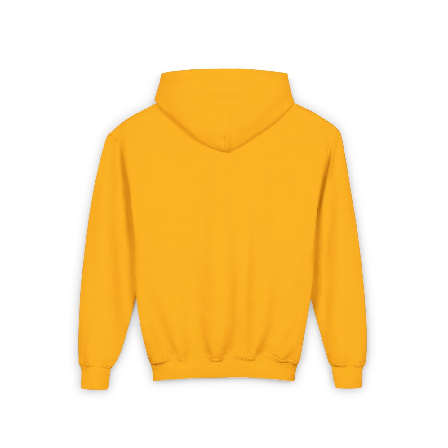 BMW Youth Hoodie