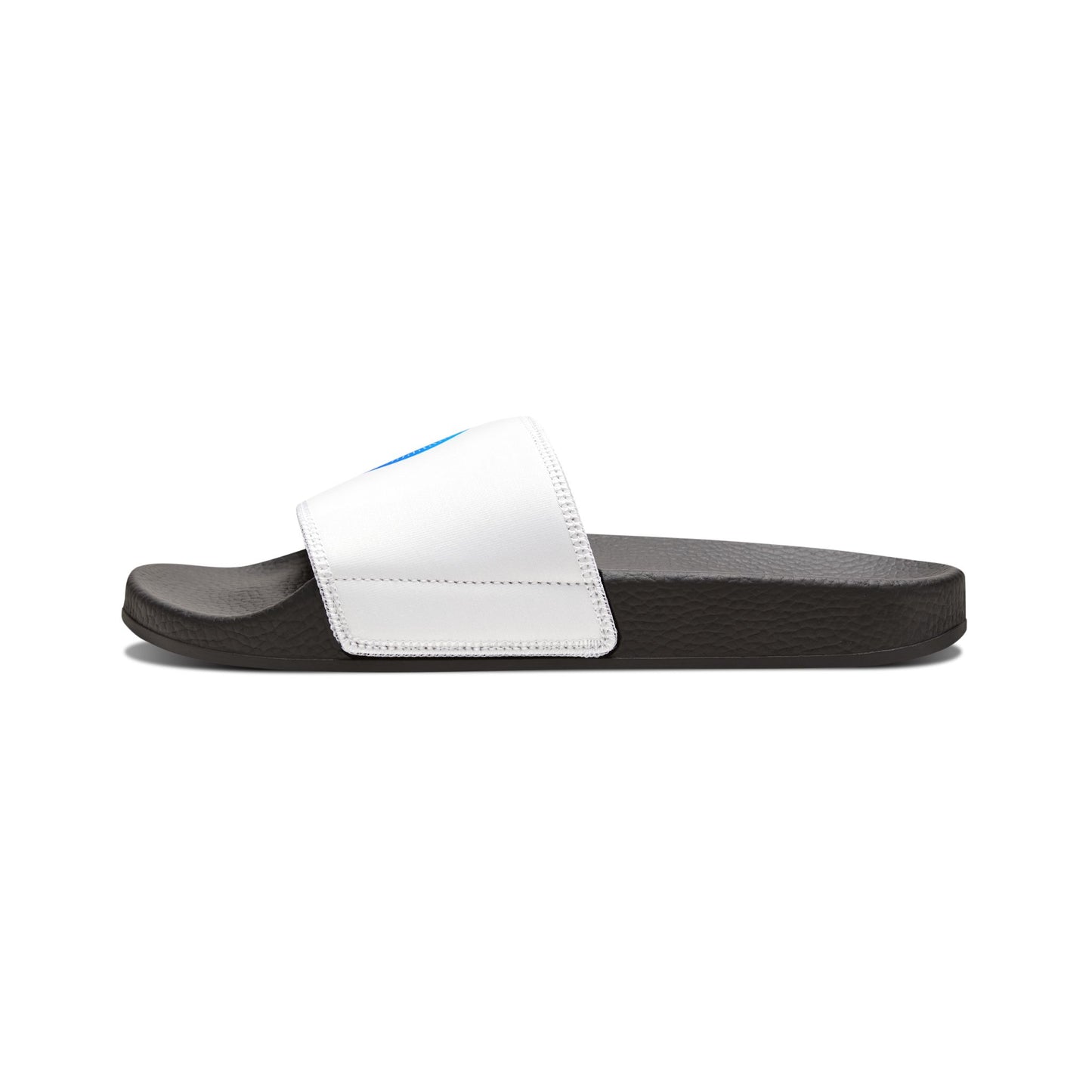 Safari Slides